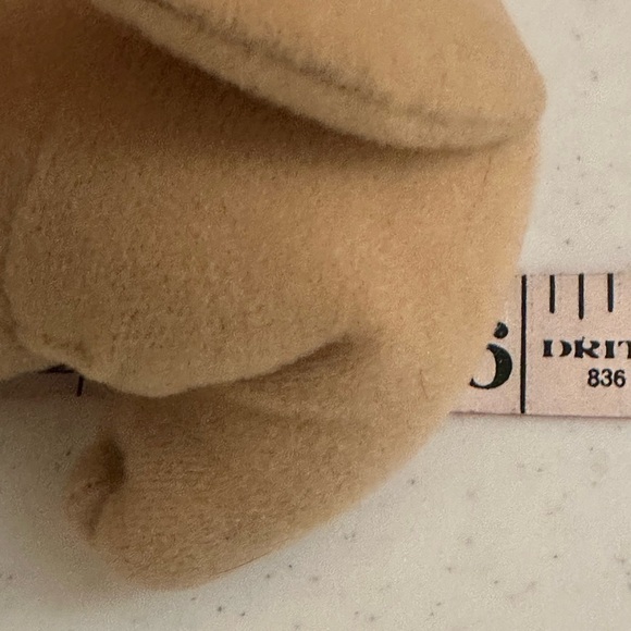 TACO BELL - Talking  Chihuahua - Feliz Navidad - Collector’s 6” L x 4.5”W - Picture 6 of 7